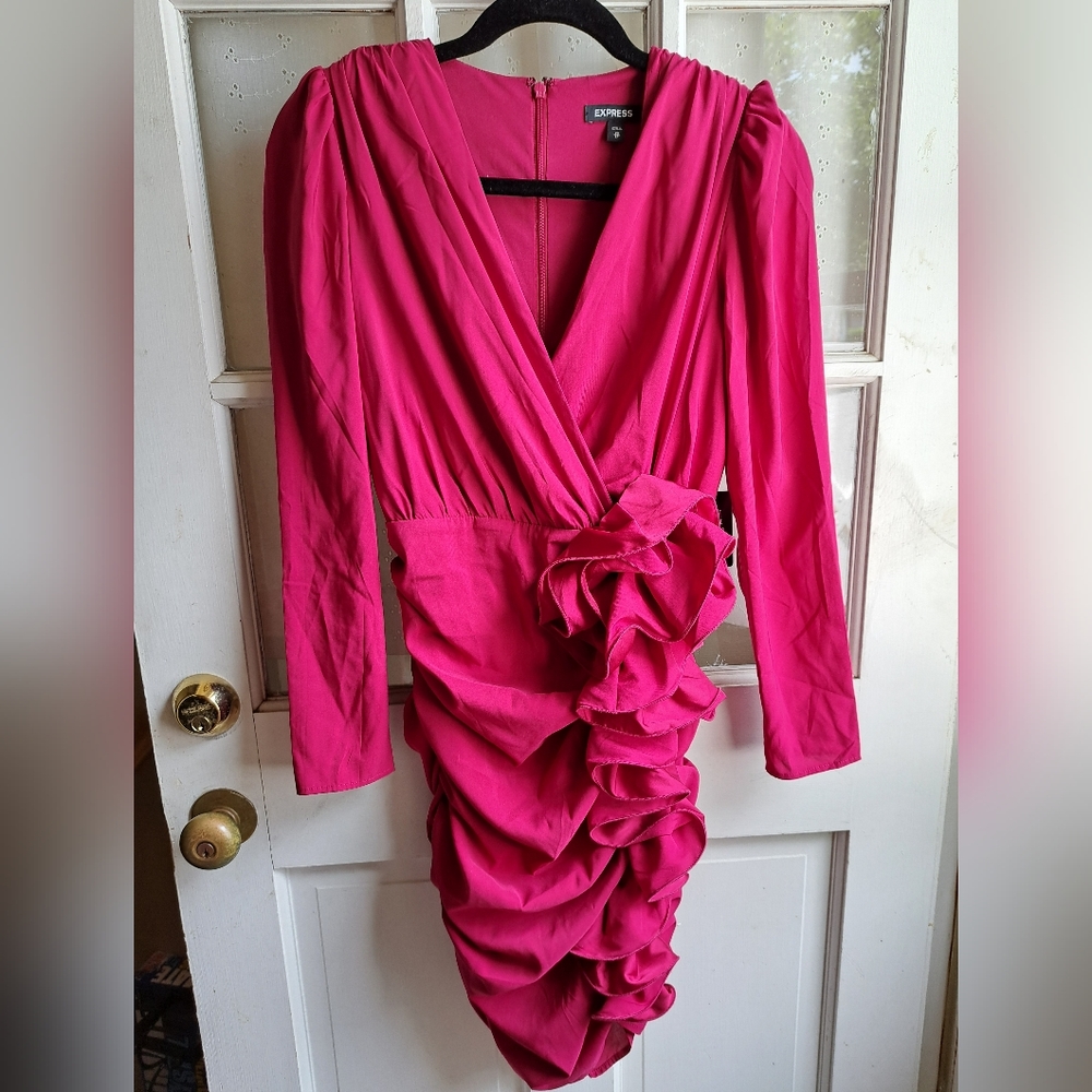 Express fuchsia dress